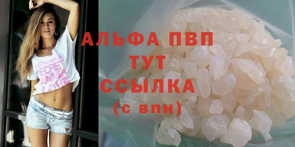 молекула духа Верхний Тагил