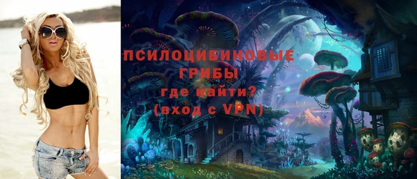 молекула духа Верхний Тагил