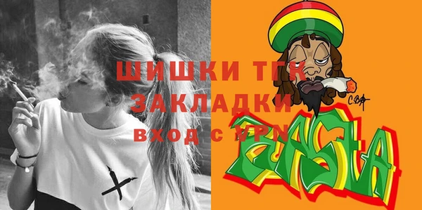молекула духа Верхний Тагил