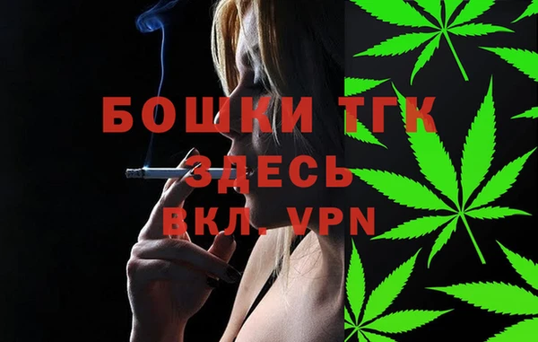 молекула духа Верхний Тагил