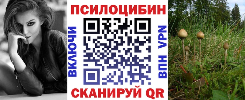 Купить закладки  Балабаново  Псилоцибиновые грибы мицелий 